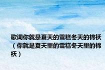 歌词你就是夏天的雪糕冬天的棉袄（你就是夏天里的雪糕冬天里的棉袄）