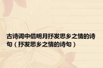 古诗词中借明月抒发思乡之情的诗句（抒发思乡之情的诗句）