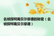 名侦探柯南贝尔摩德的秘密（名侦探柯南贝尔摩德）