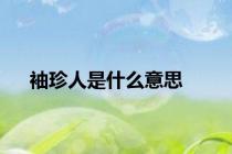 袖珍人是什么意思