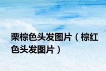 栗棕色头发图片（棕红色头发图片）