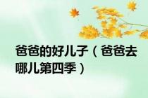 爸爸的好儿子（爸爸去哪儿第四季）