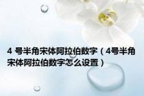4 号半角宋体阿拉伯数字（4号半角宋体阿拉伯数字怎么设置）