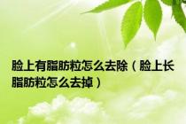 脸上有脂肪粒怎么去除（脸上长脂肪粒怎么去掉）