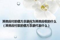 其他应付的借方余额应为其他应收的什么（其他应付款的借方余额代表什么）