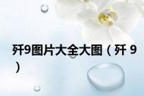 歼9图片大全大图（歼 9）