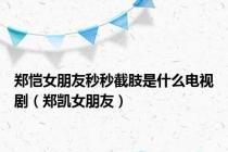 郑恺女朋友秒秒截肢是什么电视剧（郑凯女朋友）