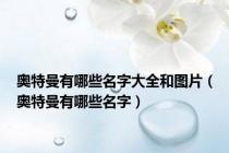 奥特曼有哪些名字大全和图片（奥特曼有哪些名字）