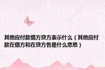 其他应付款借方贷方表示什么（其他应付款在借方和在贷方各是什么意思）