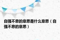 自强不息的意思是什么意思（自强不息的意思）