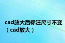 cad放大后标注尺寸不变（cad放大）