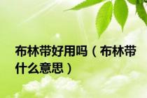 布林带好用吗（布林带什么意思）