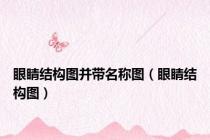 眼睛结构图并带名称图（眼睛结构图）