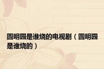 圆明园是谁烧的电视剧（圆明园是谁烧的）
