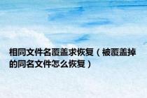 相同文件名覆盖求恢复（被覆盖掉的同名文件怎么恢复）