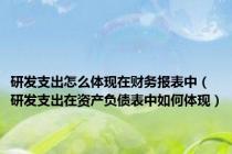 研发支出怎么体现在财务报表中（研发支出在资产负债表中如何体现）