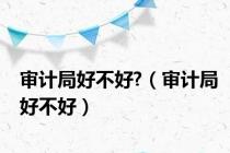 审计局好不好?（审计局好不好）