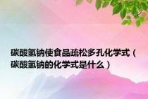 碳酸氢钠使食品疏松多孔化学式（碳酸氢钠的化学式是什么）