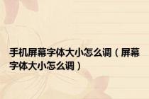 手机屏幕字体大小怎么调（屏幕字体大小怎么调）
