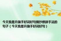 今天我是升旗手好词好句摘抄修辞手法的句子（今天我是升旗手好词好句）