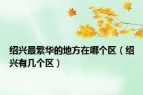 绍兴最繁华的地方在哪个区（绍兴有几个区）