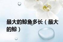 最大的鲸鱼多长（最大的鲸）