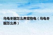 乌龟冬眠怎么养宠物龟（乌龟冬眠怎么养）