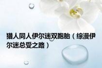 猎人同人伊尔迷双胞胎（综漫伊尔迷总受之路）