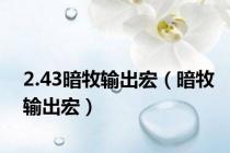 2.43暗牧输出宏（暗牧输出宏）