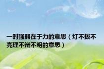 一时强弱在于力的意思（灯不拨不亮理不辩不明的意思）