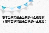 资本公积和盈余公积是什么意思啊（资本公积和盈余公积是什么意思）