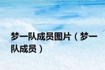 梦一队成员图片（梦一队成员）