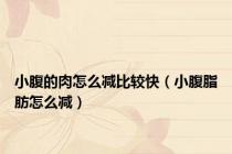 小腹的肉怎么减比较快（小腹脂肪怎么减）