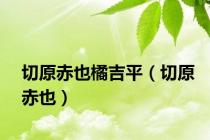 切原赤也橘吉平（切原赤也）