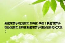 我的世界手机龙蛋怎么孵化 教程（我的世界手机版龙蛋怎么孵化我的世界手机版龙蛋孵化大全）