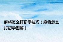 麻将怎么打初学技巧（麻将怎么打初学图解）