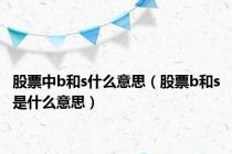 股票中b和s什么意思（股票b和s是什么意思）