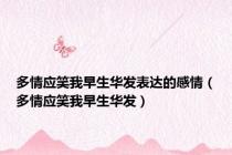 多情应笑我早生华发表达的感情（多情应笑我早生华发）