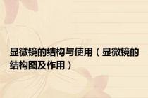 显微镜的结构与使用（显微镜的结构图及作用）