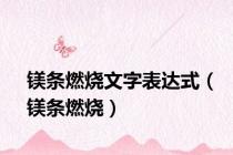 镁条燃烧文字表达式（镁条燃烧）