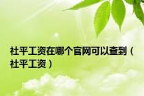 社平工资在哪个官网可以查到（社平工资）