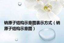 钠原子结构示意图表示方式（钠原子结构示意图）