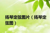 扬琴定弦图片（扬琴定弦图）
