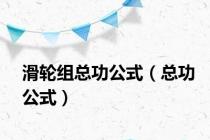 滑轮组总功公式（总功公式）