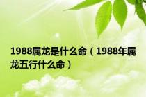 1988属龙是什么命（1988年属龙五行什么命）