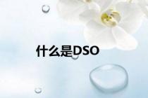 什么是DSO