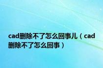 cad删除不了怎么回事儿（cad删除不了怎么回事）