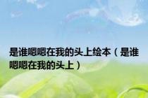 是谁嗯嗯在我的头上绘本（是谁嗯嗯在我的头上）