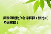 风雅颂赋比兴名词解释（赋比兴名词解释）