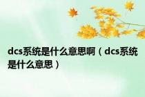 dcs系统是什么意思啊（dcs系统是什么意思）